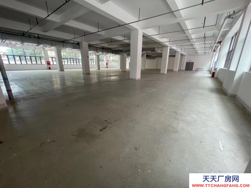 全新,獨(dú)棟框架 結(jié)構(gòu)廠房,面積選擇大,形象展示非常好