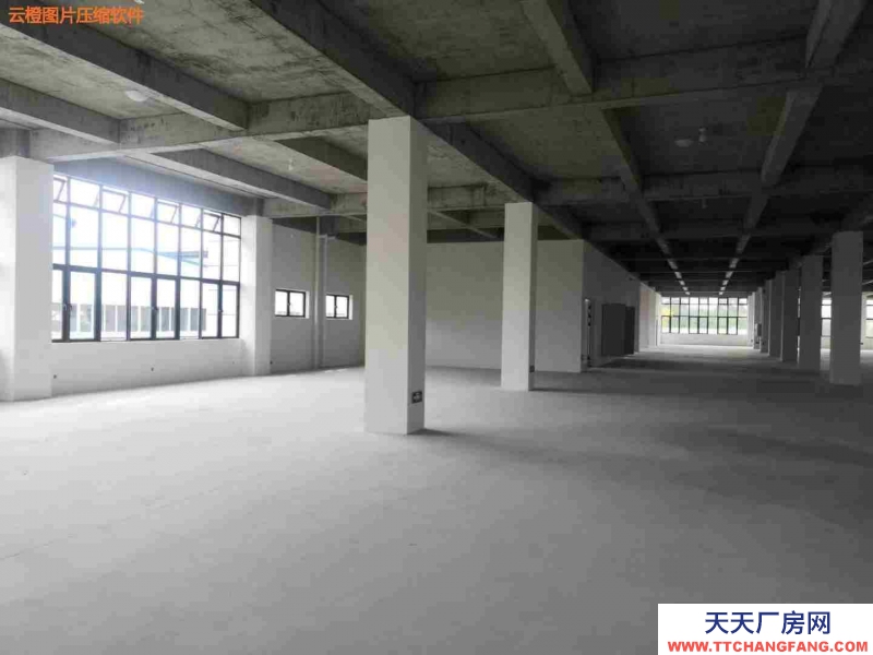 花園式廠房，框架結構，多層設計，獨棟，面積選擇性大