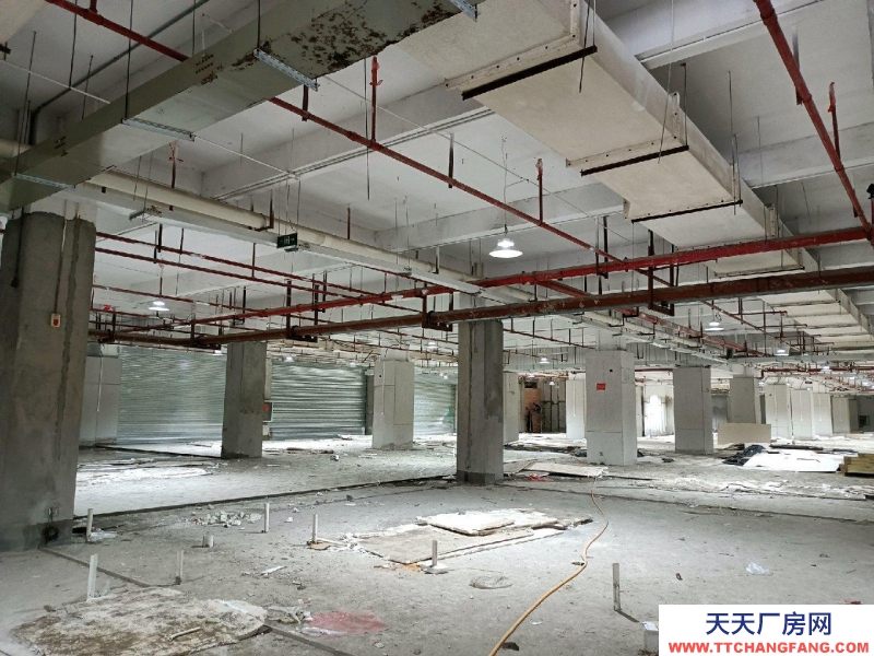 (出租)柳州城中區(qū)倉庫租賃，具體合作內容可面談。