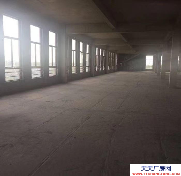 泰安東平出租山東姜仔鴨車間廠房