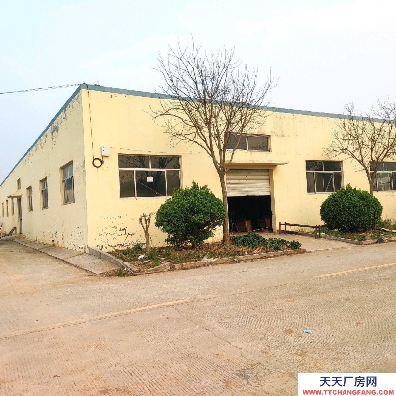 泰安東平800平，可分租，標準廠房