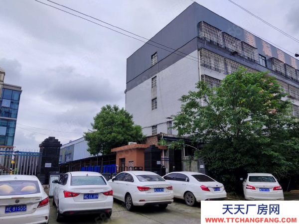 邵陽市雙清區(qū)雙層廠房出租98432帶五層辦公樓宿舍