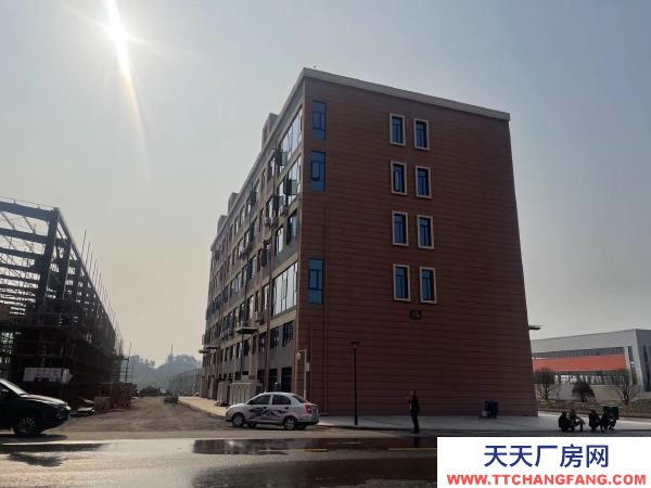 邵陽市雙清區 現房單層、多層、總部辦公,預留航吊,可定制。