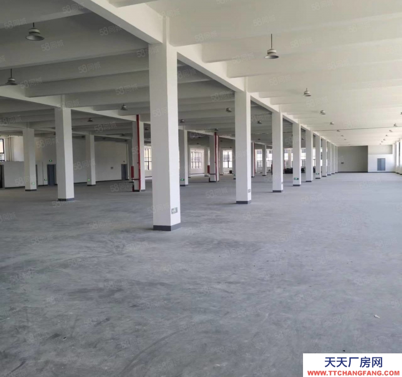 溫州瑞安(出租) 東山 12000標(biāo)準(zhǔn)廠房 5噸貨梯 帶地下室 可分割