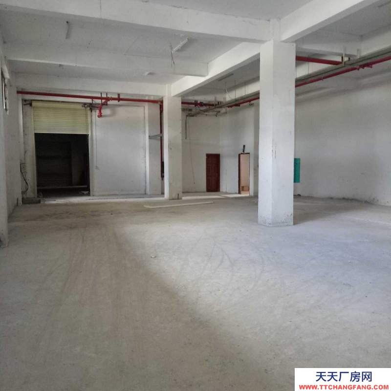 (出租) 桂林市七星區(qū)英才科技園創(chuàng)業(yè)五道九號綜合樓