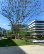 (出售) 閔行全新地塊可生產(chǎn)研發(fā)辦公,50年獨(dú)立產(chǎn)權(quán)