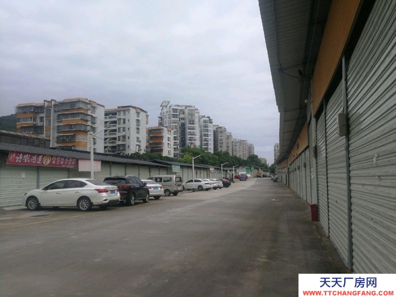 (出租) 桂林象山小中大型倉庫出租（10-2000平）