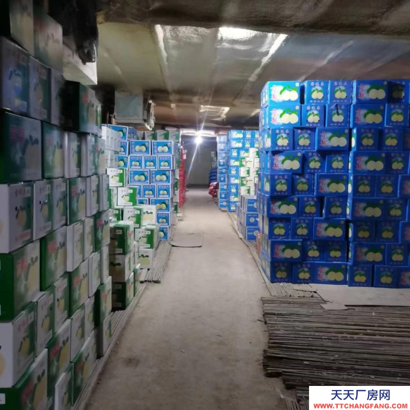 (出租) 出桂林疊彩大河鄉1100平方冷庫