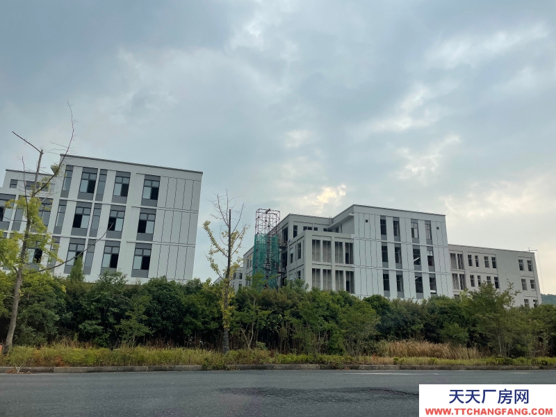 不限電，低容積，四層花園式獨棟廠房，非中介