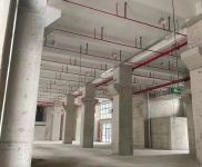 (出售)寶山 園區高標廠房,免稅收,可環評