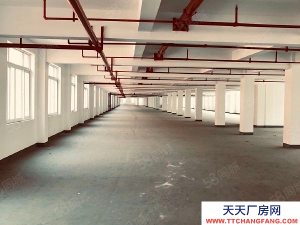 聊城東昌5000平大平層全業態招租