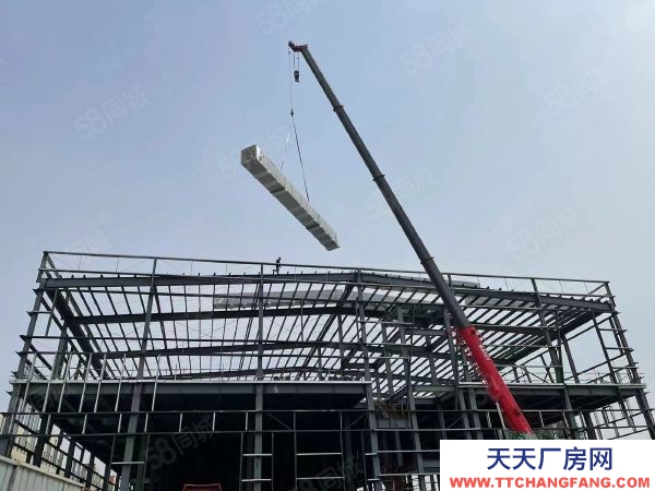 聊城東昌層高10.6米純一層大倉