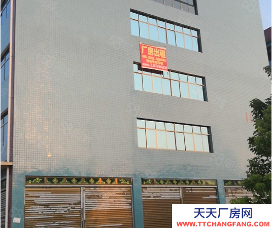 邵陽(yáng)市邵東縣廠房出租 共六層 有電梯和貨梯 可分租