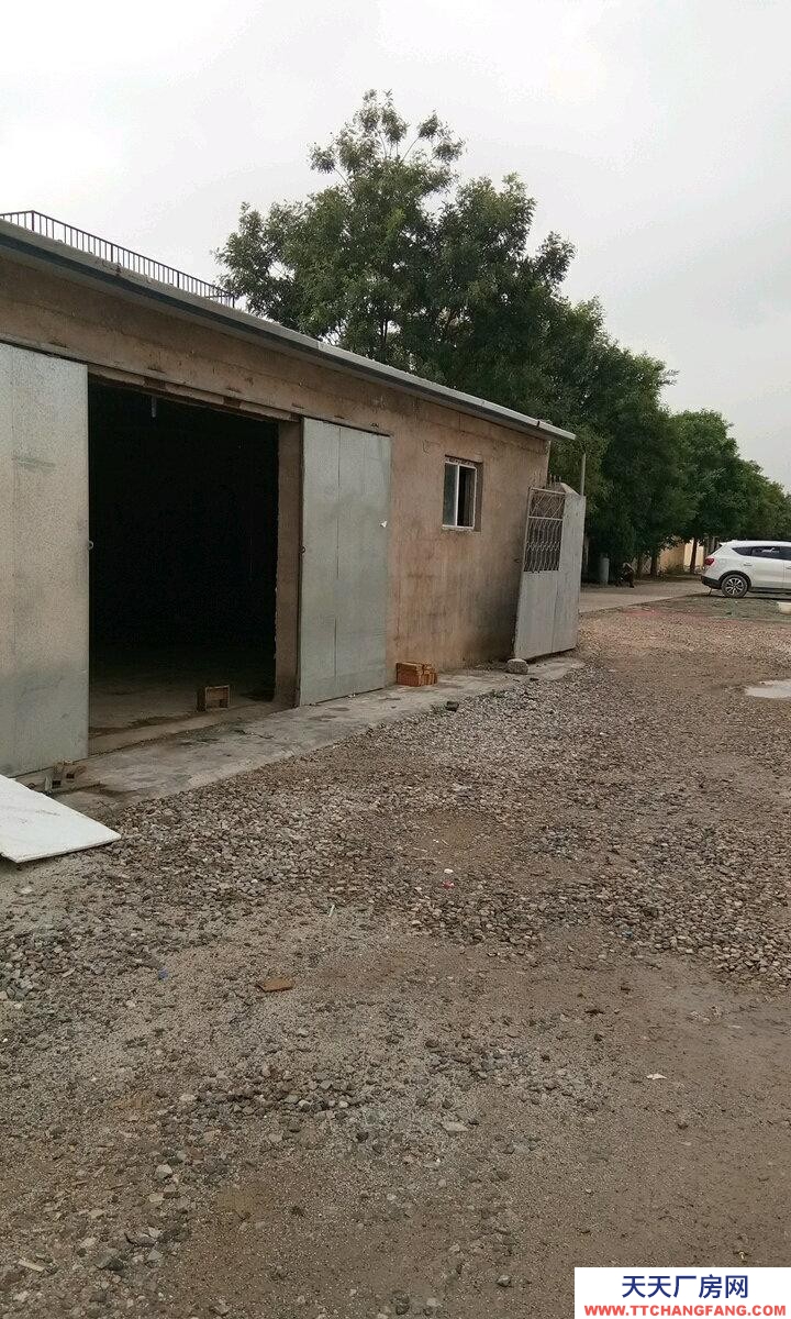 (出租) 寧夏銀川金鳳鳳凰南街高橋小學附近