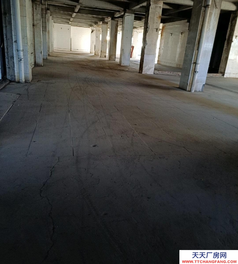 (出租)銀川金鳳 庫房，平房，辦公室出租！