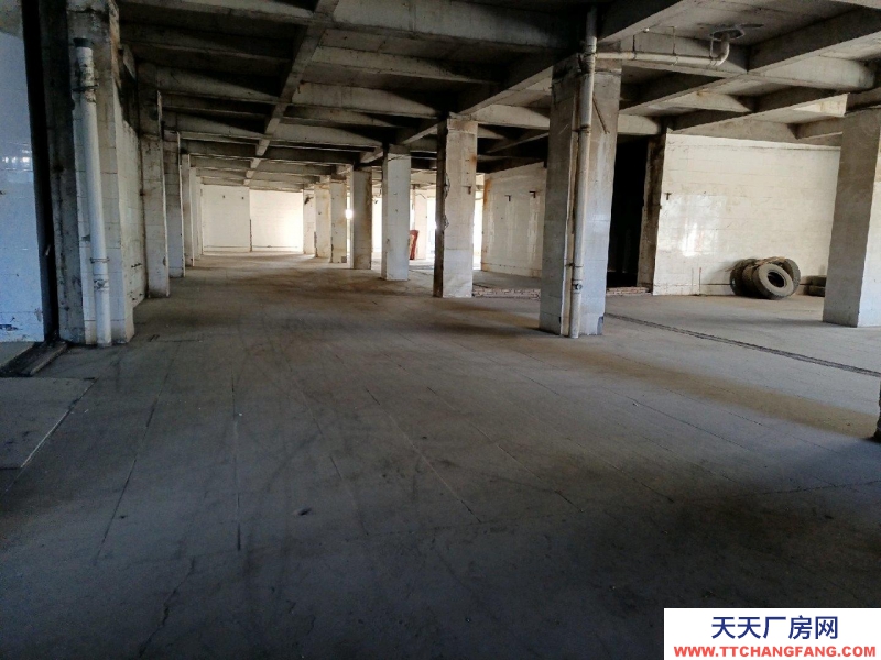 (出租)銀川金鳳 庫房，平房，辦公室出租！