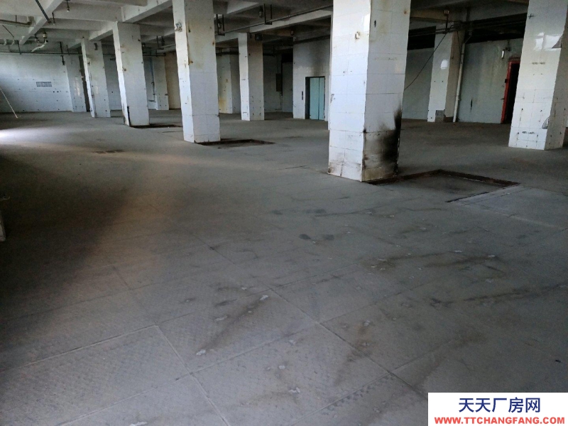 (出租)銀川金鳳 庫房，平房，辦公室出租！