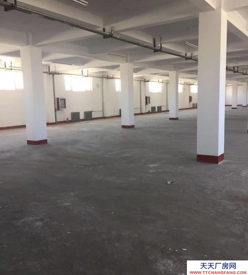 (出租)銀川 興慶石油城孔雀基地倉庫辦公樓出租