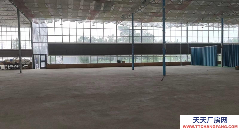 (出租) 銀川興慶10000平米高7米大倉(cāng),大小隨意租期靈活。