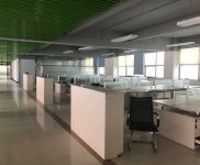 (出租)嘉定 金園一路原房東240平辦公樓 辦公 展廳 研發設計