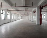 (出租)浦東 南匯104板塊 環(huán)境好 可環(huán)評 適合紙箱包裝 集成電路 電商