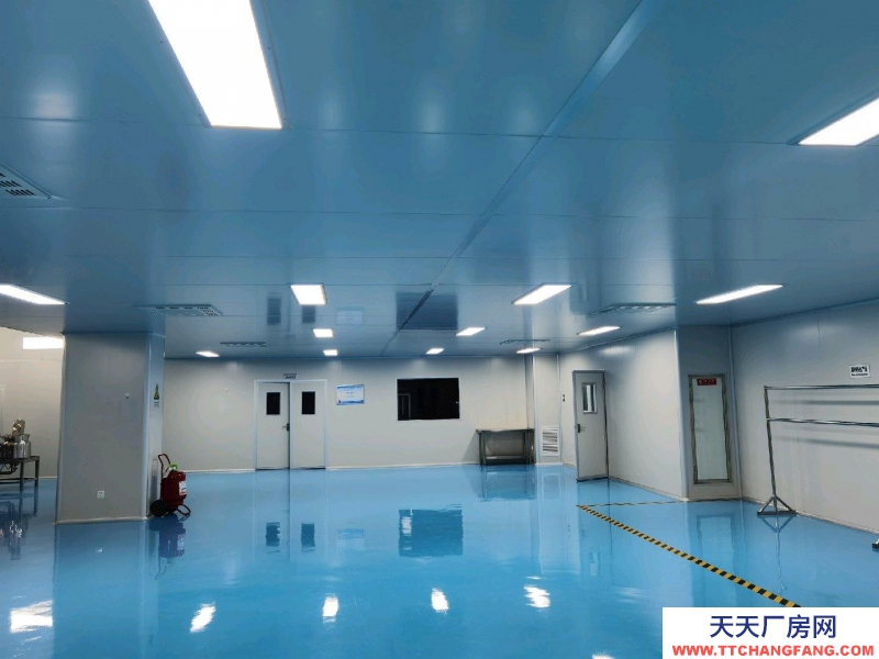 (出租) 銀川金鳳潔凈車間可生產研發檢測辦公，整租分租都可