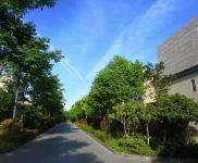 (出售)浦東新區 上河商務園 水電煤全通獨棟 園區環境漂亮 帶前后花園可改泳池