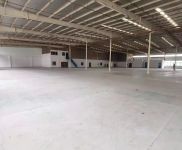 (出租) 浦東外高橋保稅區標準單層倉庫，可分租，價格實惠。