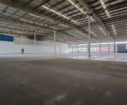 (出租) 浦東外高橋保稅區標準單層倉庫,可分租,價格實惠。