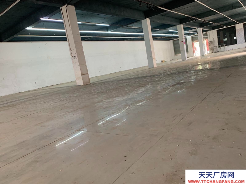 聊城莘縣廠房適合加工，儲存，如能用上價格雙方商量