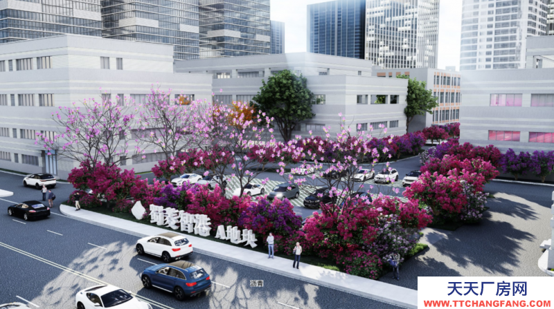 花園式，獨棟，框架結構，可以分租，無中介費，970-5000平