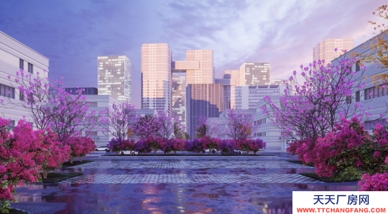 花園式,獨棟,框架結構,可以分租,無中介費,970-5000平