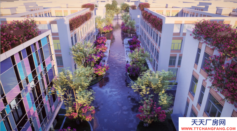 花園式,獨棟,框架結構,可以分租,無中介費,970-5000平