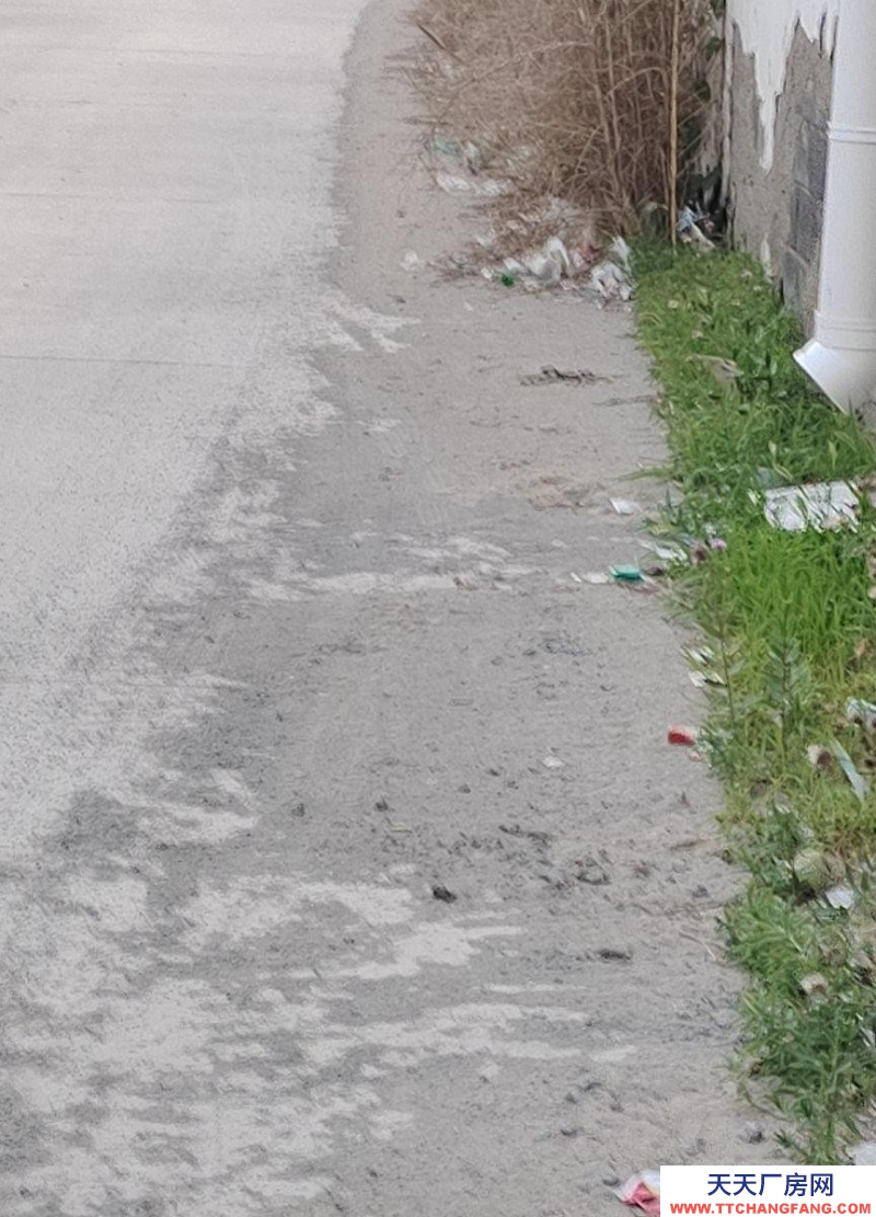 秦皇島 昌黎  長39寬16米高4米1，地面已硬化，可分租