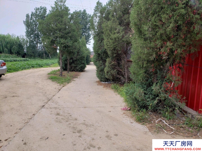 秦皇島 昌黎 昌黎縣城南小心莊村，臨機場快速路。