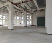 (出租)金山 亭林工業(yè)高質(zhì)廠房，104地塊可環(huán)評(píng)，適合對(duì)形象要求高的企業(yè)