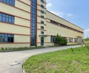 (出售)金山楓涇占地20畝12786平米單層12米高廠房出售