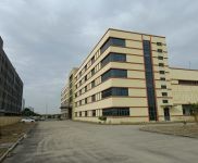 (出售)金山楓涇占地20畝12786平米單層12米高廠房出售