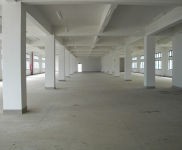 (出售) 金山區 獨門獨院 6畝 3800平 1520萬 近高速