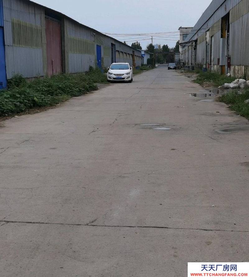 (出租)焦作沁陽市濱河南路，南關居委會西鄰2000平對外出租