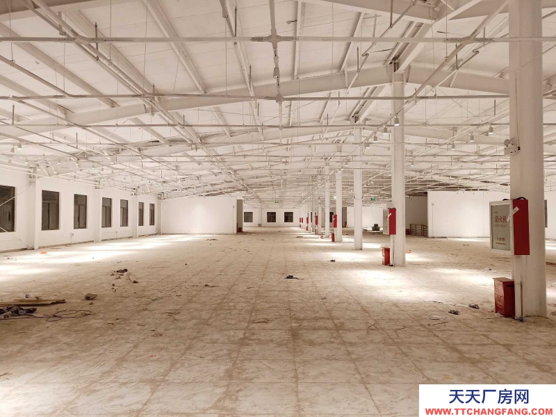 (出租) 焦作溫縣城區(qū)溫縣市區(qū)