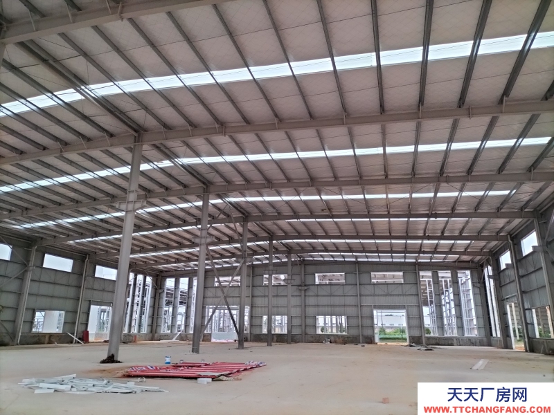 945㎡起售 單層鋼構廠房 獨門獨戶 三類工業用地行業不限