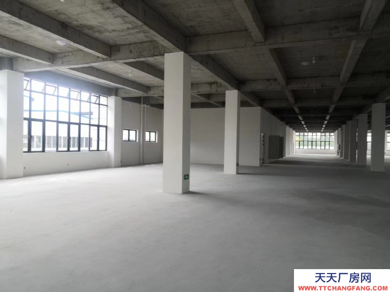 無中介費,獨棟,框架結構,新廠房,兩層半設計,高贈送