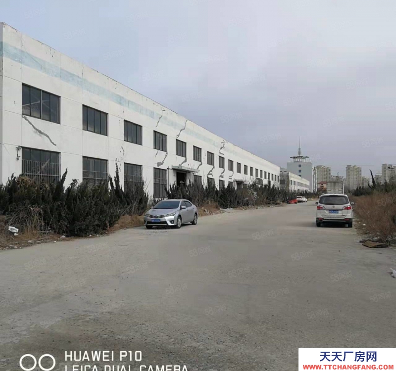 威海市羊亭板塊和興路標準廠房出租