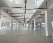 (出租) 松江洞涇工業區各類廠房,倉庫,辦公室出租