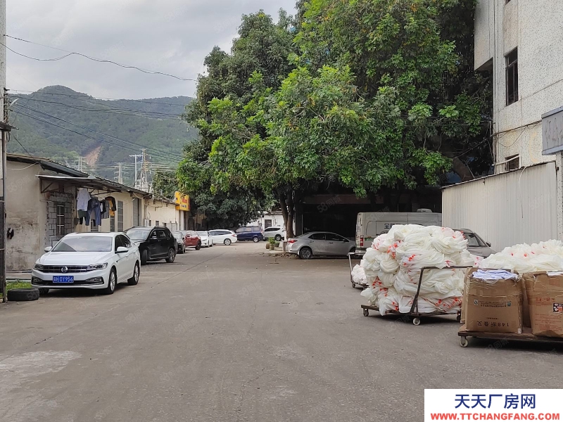(出租) 廣州肇慶睦崗大洲工業區廠房空置一樓980平米