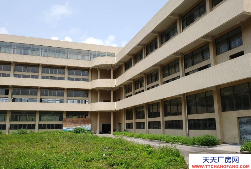 (出租) 廣州肇慶端州城區(qū)標(biāo)準(zhǔn)水泥結(jié)構(gòu)廠房招租