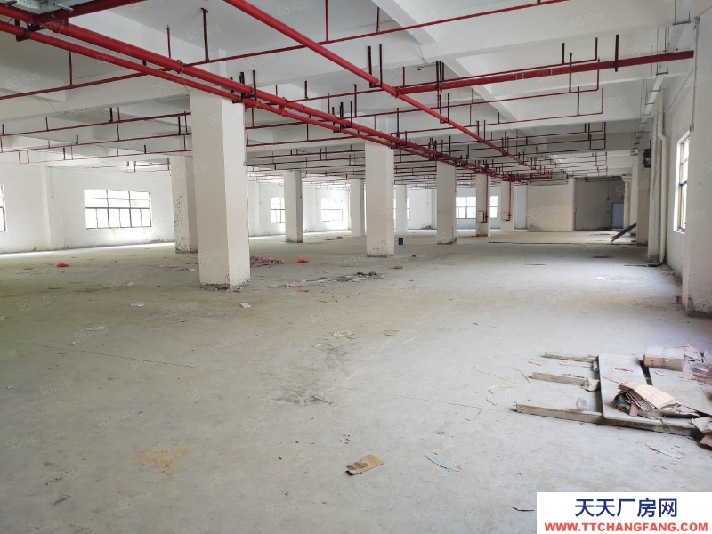 (出租) 廣州肇慶端州城區(qū)標(biāo)準(zhǔn)水泥結(jié)構(gòu)廠房招租