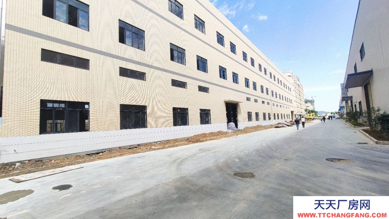 (出租) 廣州肇慶大旺標(biāo)準(zhǔn)樓層鋼結(jié)構(gòu)單一層全新廠房產(chǎn)業(yè)園后剩3個(gè)倉(cāng)