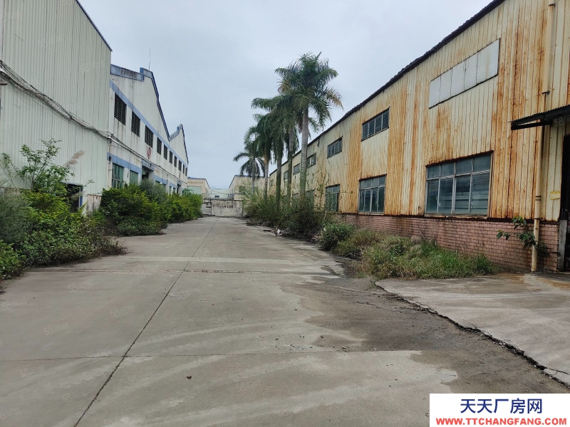 (出租) 廣州 肇慶鼎湖新區(qū)13元重工業(yè)廠房10萬(wàn)平方出租